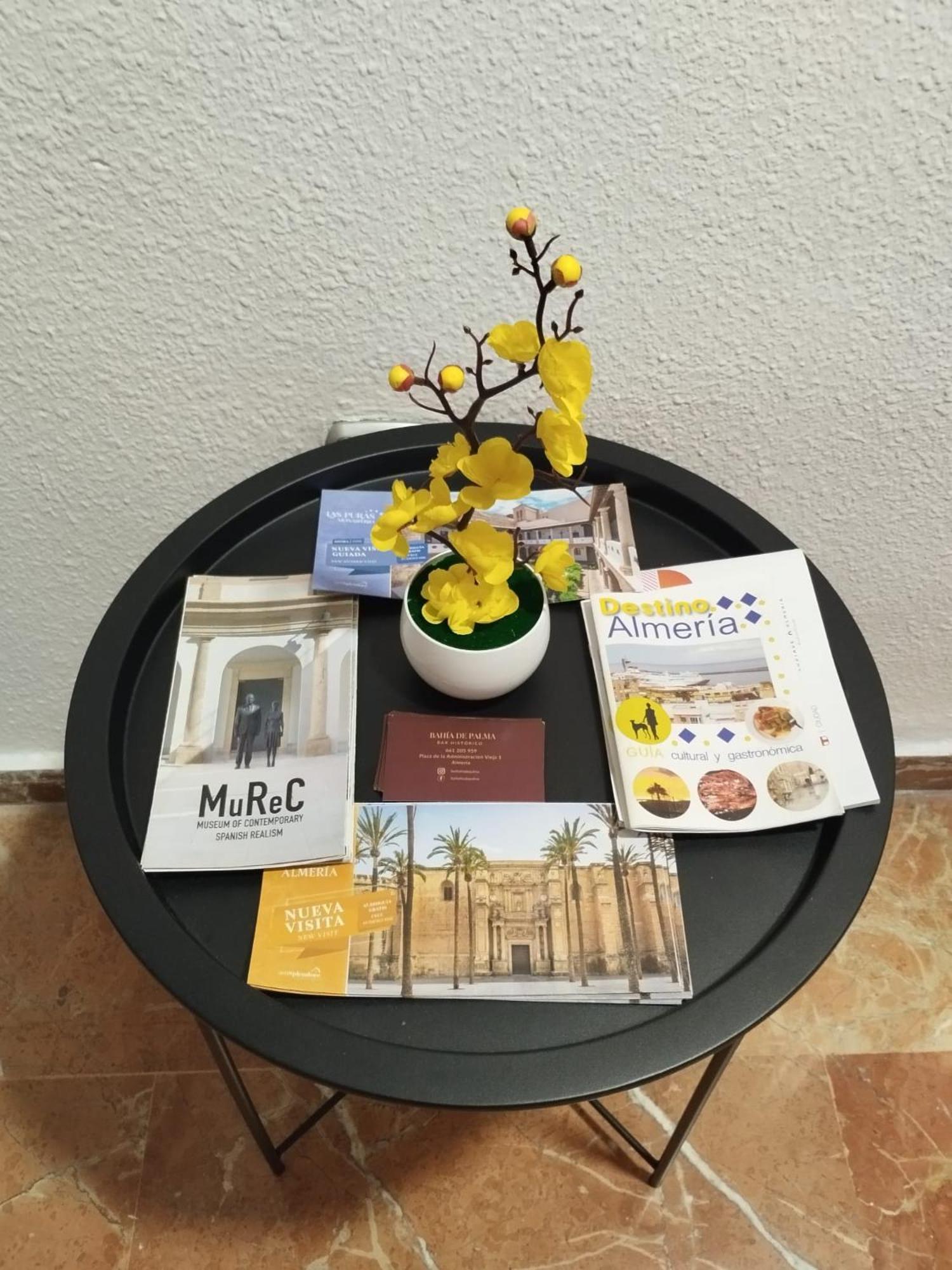 Piso Museo Del Realismo - Catedral - Alcazaba Con Parking Gratis - Super Wifi Apartment Almeria Ngoại thất bức ảnh